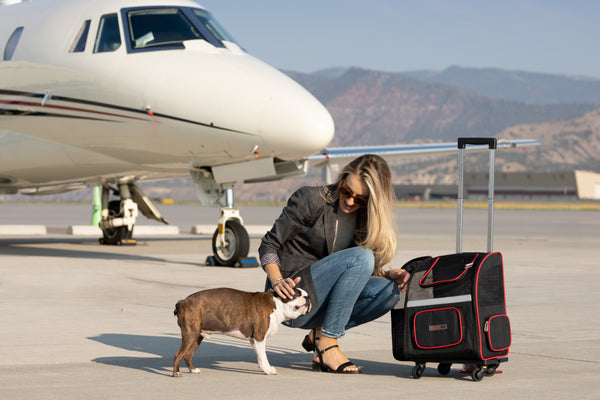 Pet Travel Piece of Mind